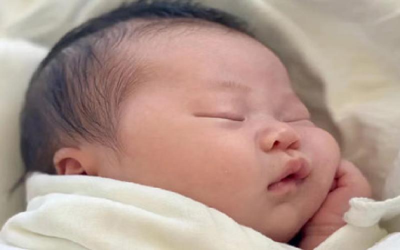 猪鬃毛试管刷代生