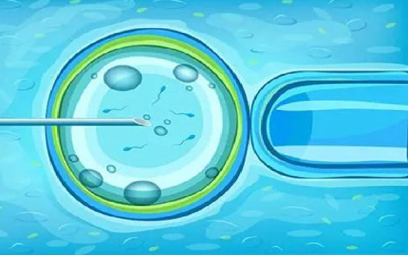 试管婴儿 济南代生